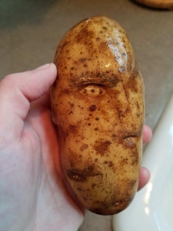 Картофель внимательно следит за тобой!