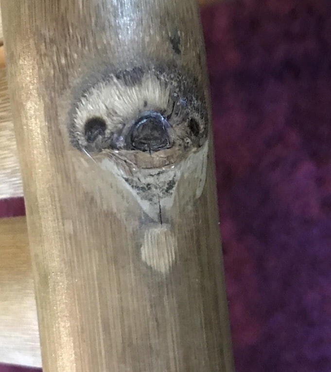 Естественный узор на бамбуковой ножке стола - точь-в-точь как морда ленивца