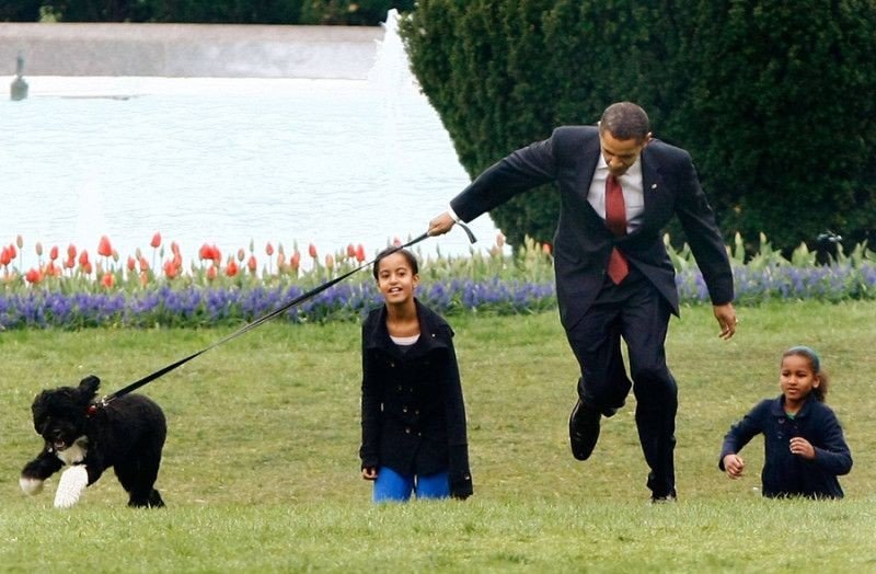 Видно, что Обаму любят животные, порой даже слишком