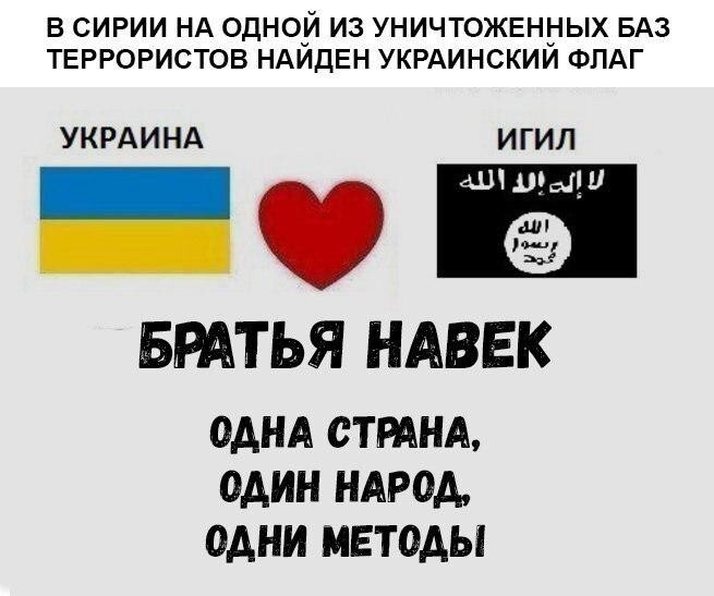 В Дейр-эз-Зоре накрыли украинский отряд ИГИЛ