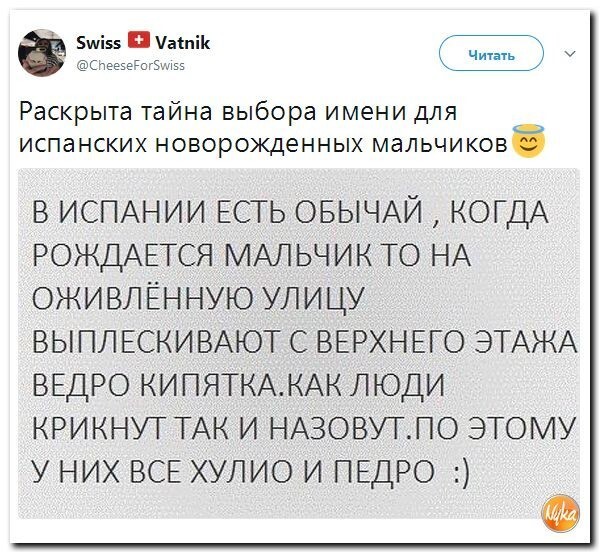 Политические коментарии соцсетей - 242