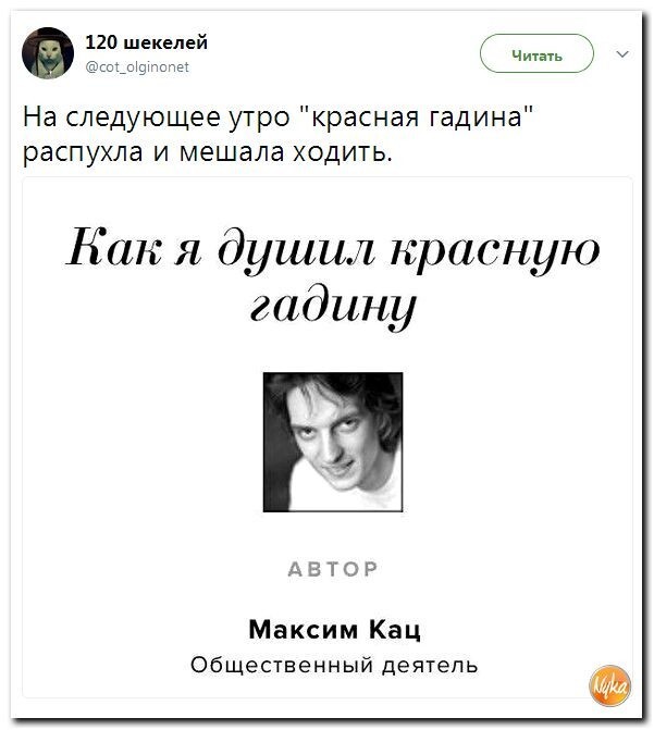 Политические коментарии соцсетей - 242