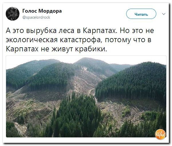Политические коментарии соцсетей - 243