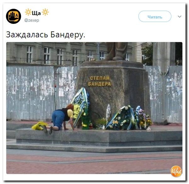 Политические коментарии соцсетей - 243