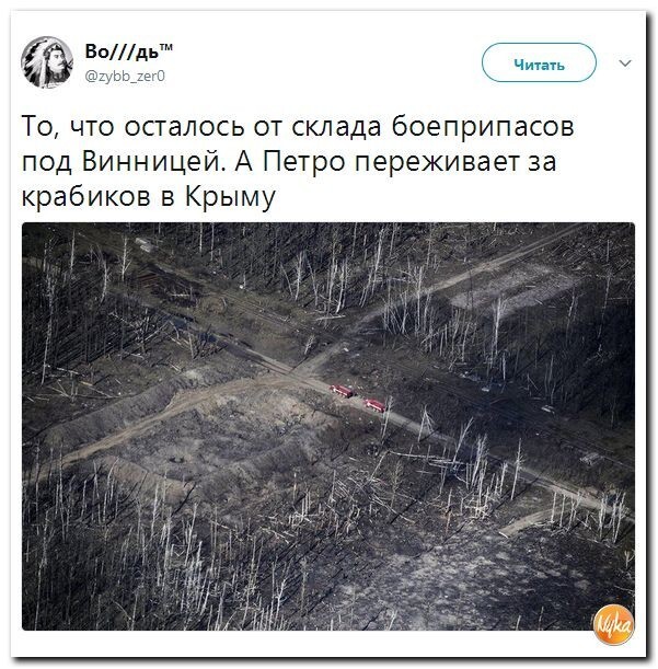 Политические коментарии соцсетей - 243