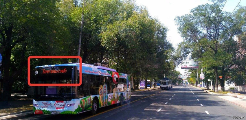 Теперь в Донецке можно узнать о чем думают водители общественного транспорта ...