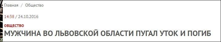 Подборка смешных комментариев и не только) (Часть 2)