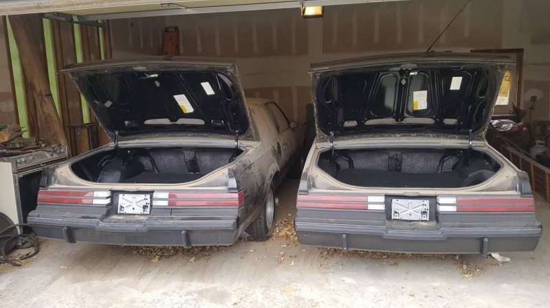 Редкие близнецы Buick провели в гараже 30 лет