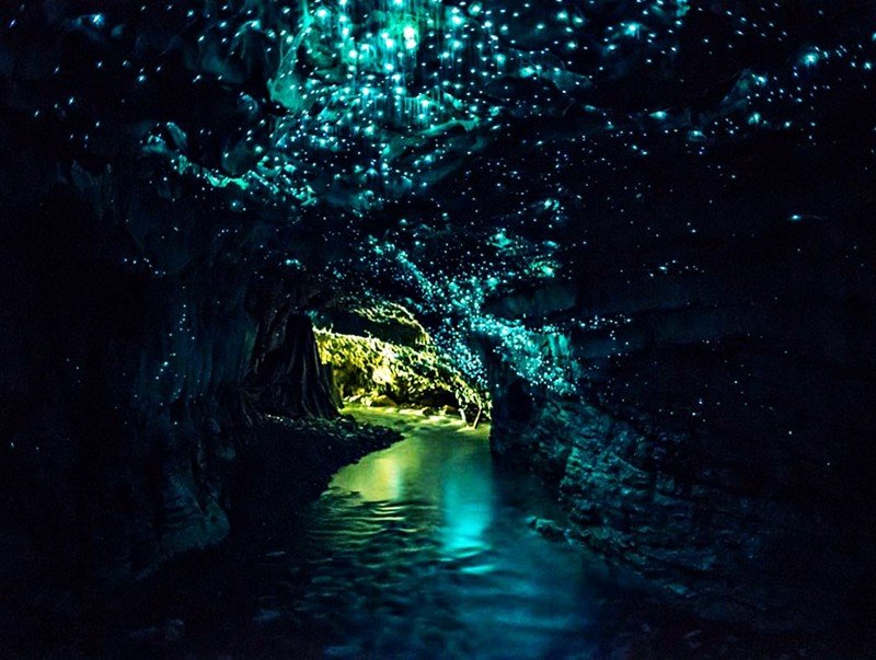 Пещеры Ваитомо (остров Северный, Новая Зеландия)