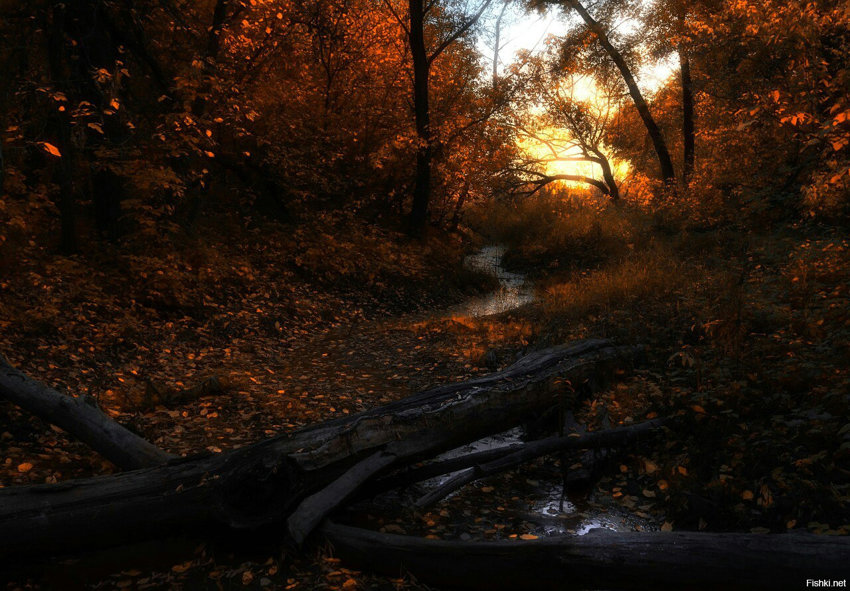 Осень на реке Чебакла, посёлок Сара, Оренбургская обл