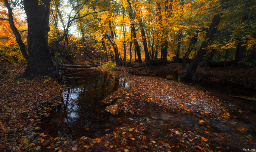 Осень на реке Чебакла, посёлок Сара, Оренбургская обл
