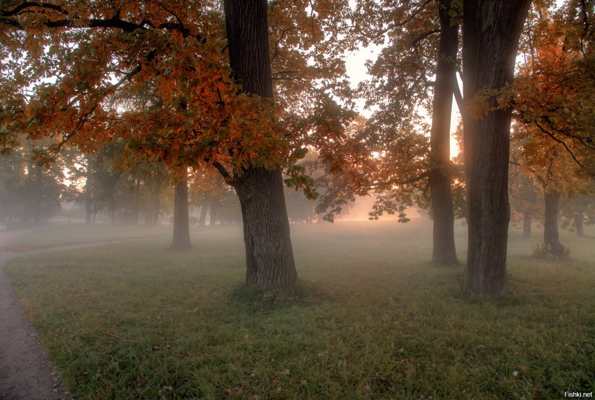 Осень в Пушкине: