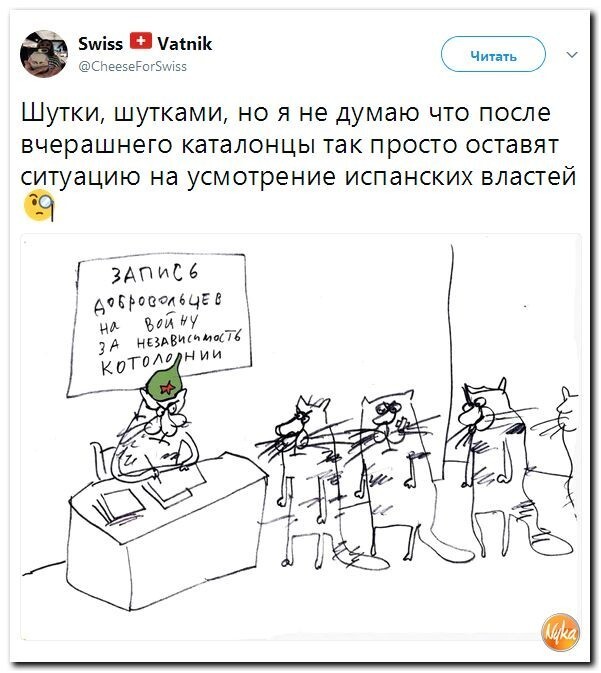Политические коментарии соцсетей - 246