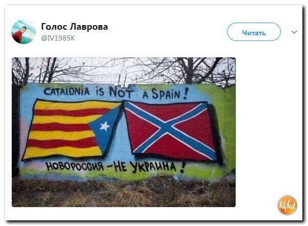 Политические коментарии соцсетей - 246