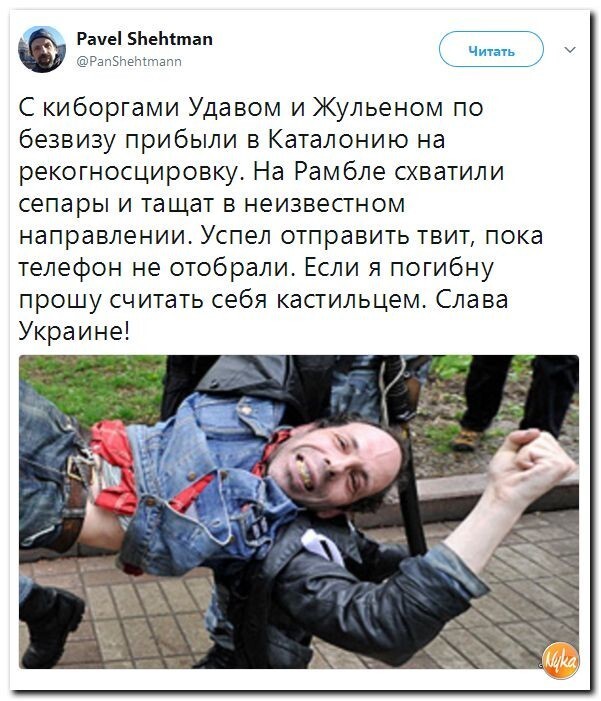 Политические коментарии соцсетей - 246