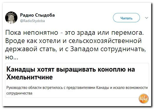 Политические коментарии соцсетей - 246