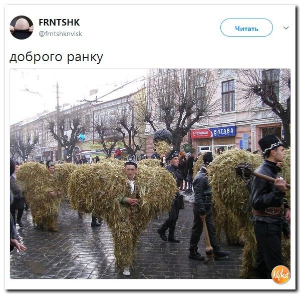 Политические коментарии соцсетей - 247