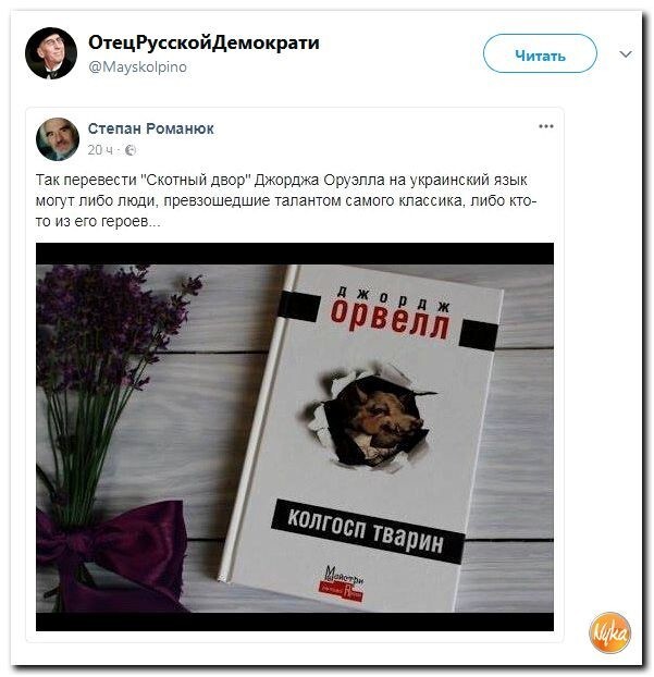 Политические коментарии соцсетей - 248