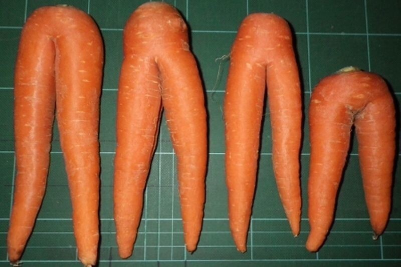 А кому-то они напомнили смешную двуногую морковь. Ну, тоже вариант