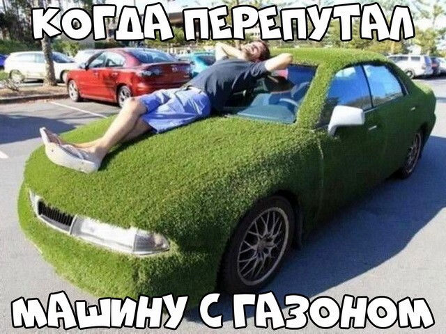 Автовсячина