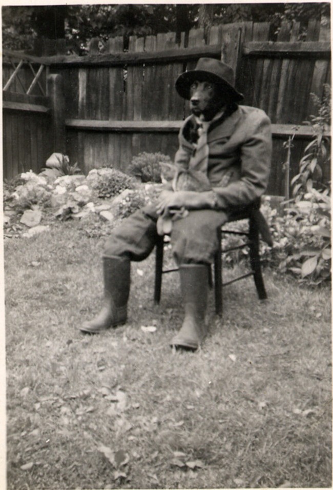 Собака, наряженная в мужской костюм, с котом на коленях (1950)