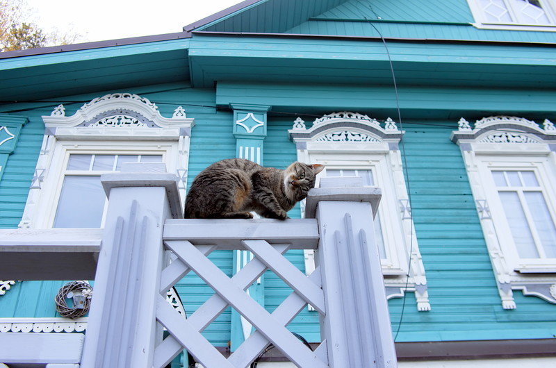 Плёс. Золотая осень на Волге