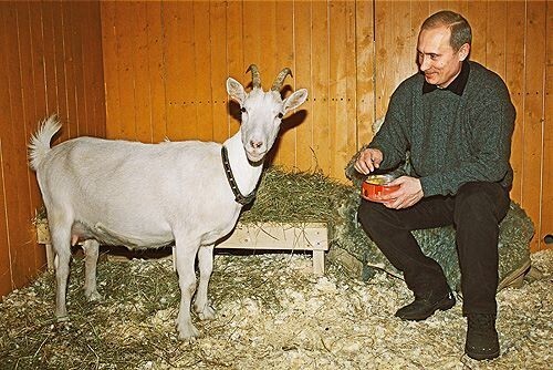 Коза Сказка и картина грудью. Что дарили президенту Путину
