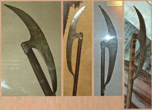 Некоторые виды древкового оружия