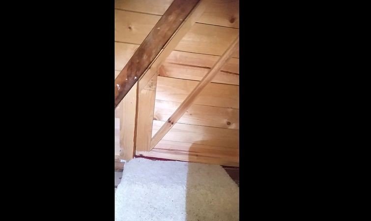 Рабочий обнаружил на чердаке дверь, замаскированную под деревянную стену