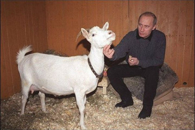 В одном из подарков Путину мы находили подслушивающее устройство
