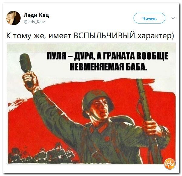 Политические коментарии соцсетей - 255