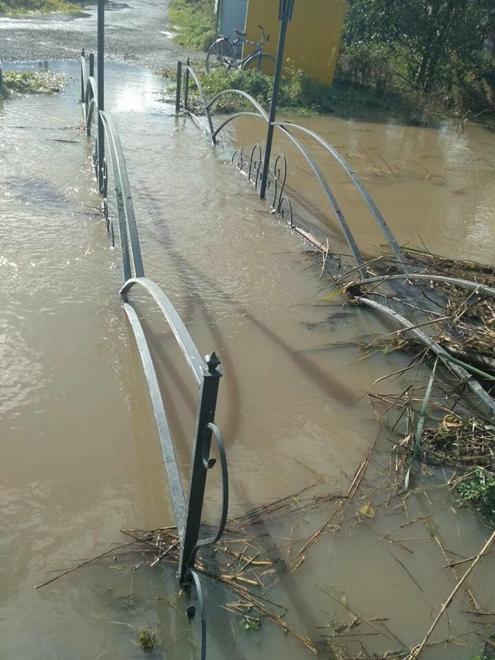 Наводнение в Зеленоградском районе Калининградской области
