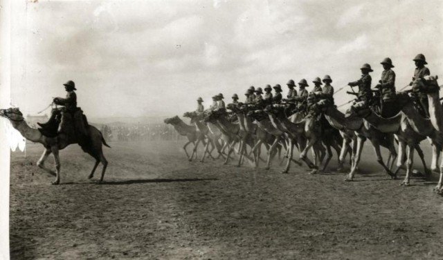 Подразделение Сомалилендского верблюжьего корпуса британской армии. 1913 год