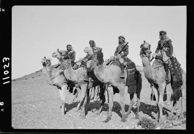 Верблюжья кавалерия Арабского легиона (вооруженных сил Эмирата Трансиордания). Палестина, январь 1940 года