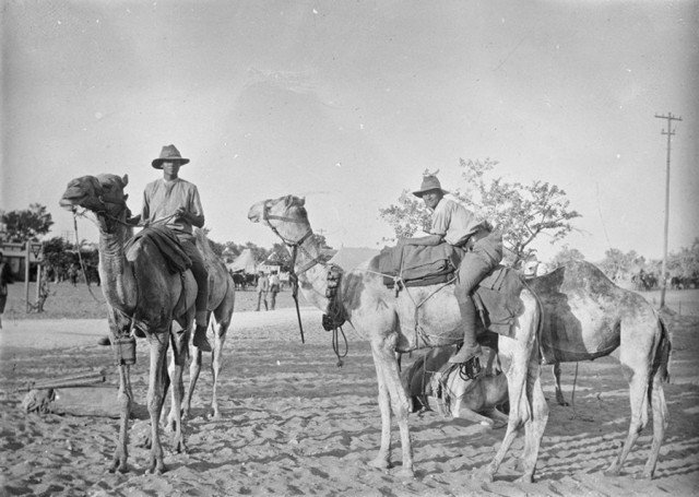  Военнослужащие и верблюды Имперского верблюжьего корпуса, соединения британской армии бригадного размера. 