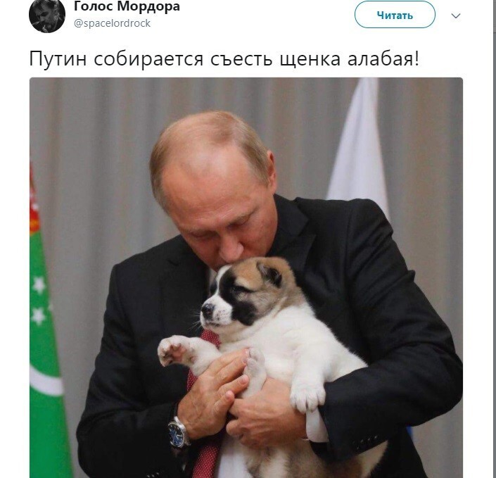 Политические коментарии соцсетей - 258
