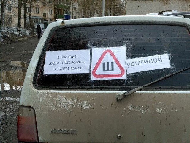 Автовсячина