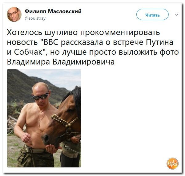 Политические коментарии соцсетей - 263