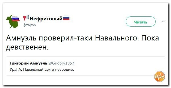 Политические коментарии соцсетей - 263