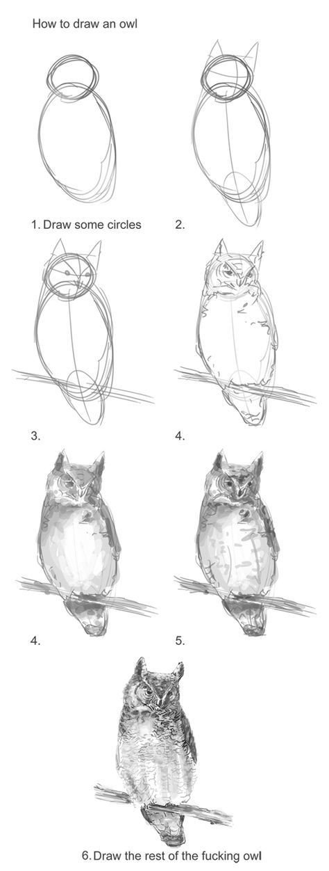 Как нарисовать сову?