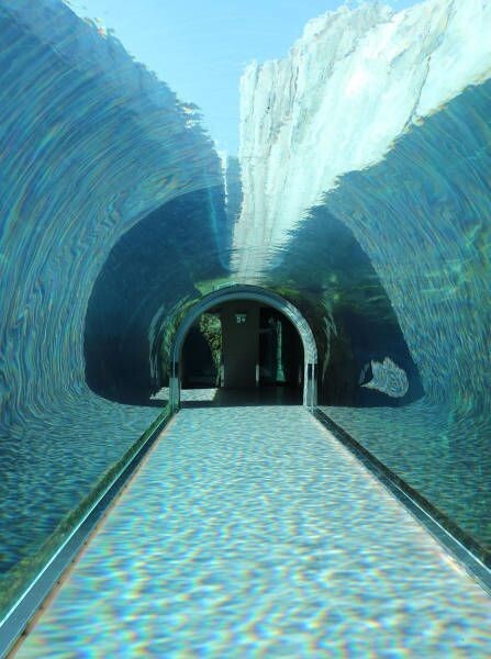 Тоннель под водой 
