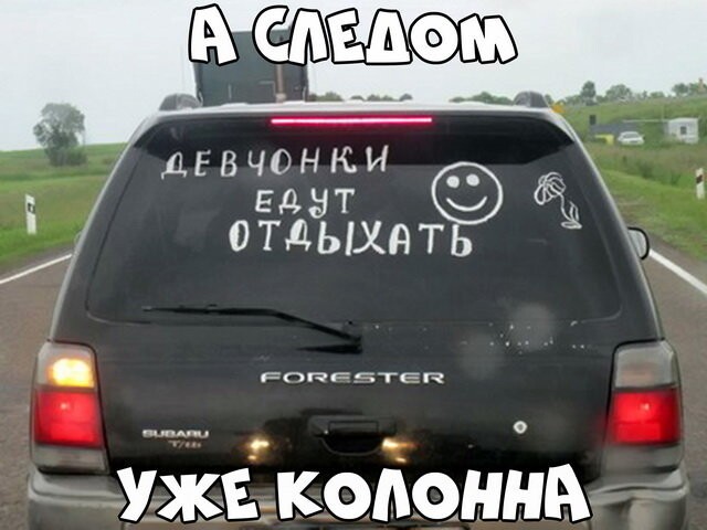 Автовсячина