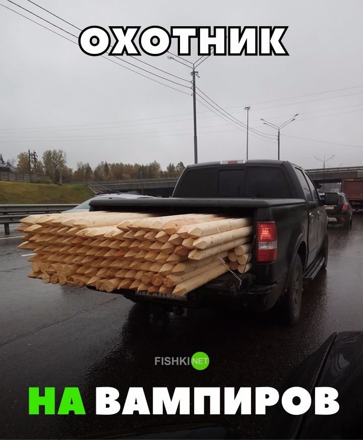 Охотник на вампиров