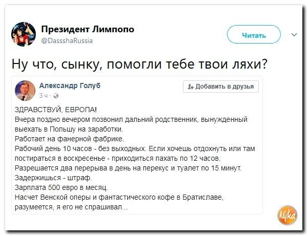 Помогли тебе ляхи. Ну что сынку помогли тебе твои ляхи. Ну что сынку помогли. Ну шо сынку помогли тебе ляхи твои. Ну что помогли тебе ляхи.