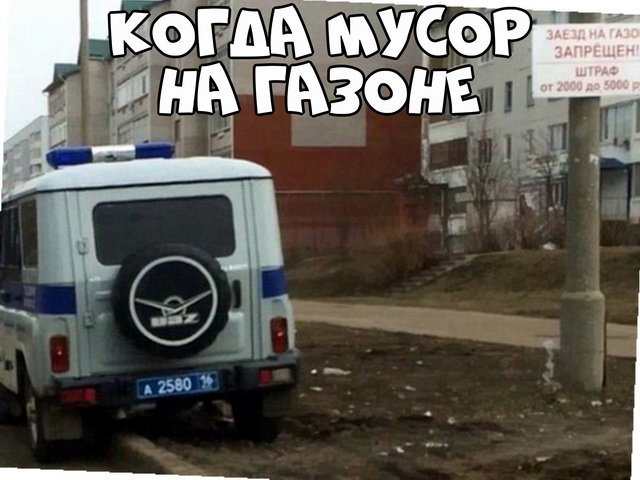 Автовсячина