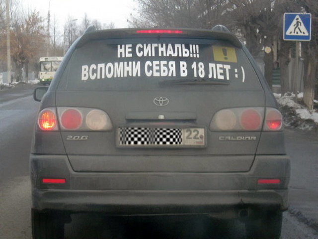 Автовсячина