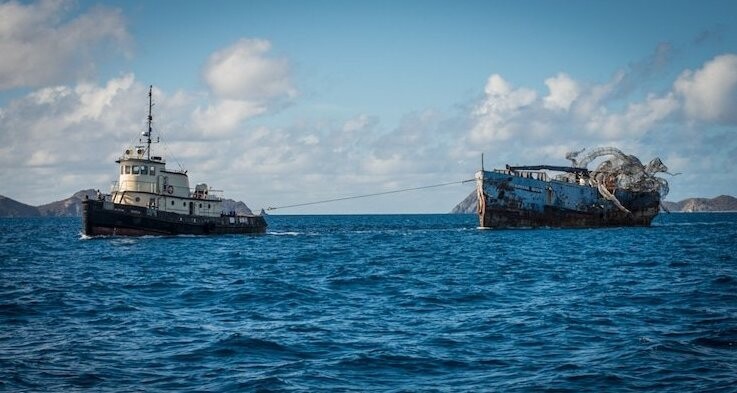 Искусственное морское чудовище спасает кораллы на Виргинских островах