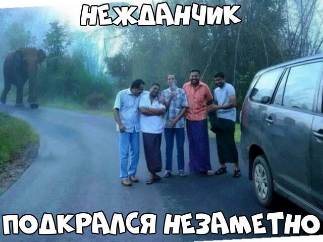 Автовсячина от БрОдЯгА за 22 октября 2017