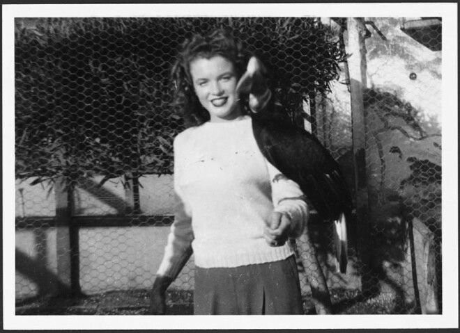 Норма Джин Мортенсон в зоопарке, с птицей на руке.