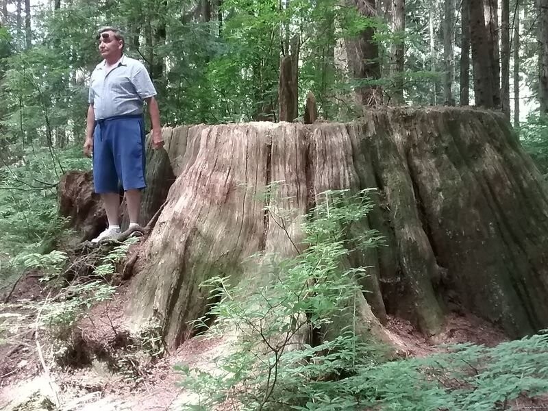 Парки Ванкувера.  Грубо говоря город состоит из одних парков. Все посетить нереально.  Есть искусственно выращенные. Есть дикие, причем прямо в центре города. 